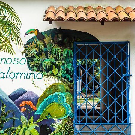 Hostal Hermoso Palomino Buitenkant foto