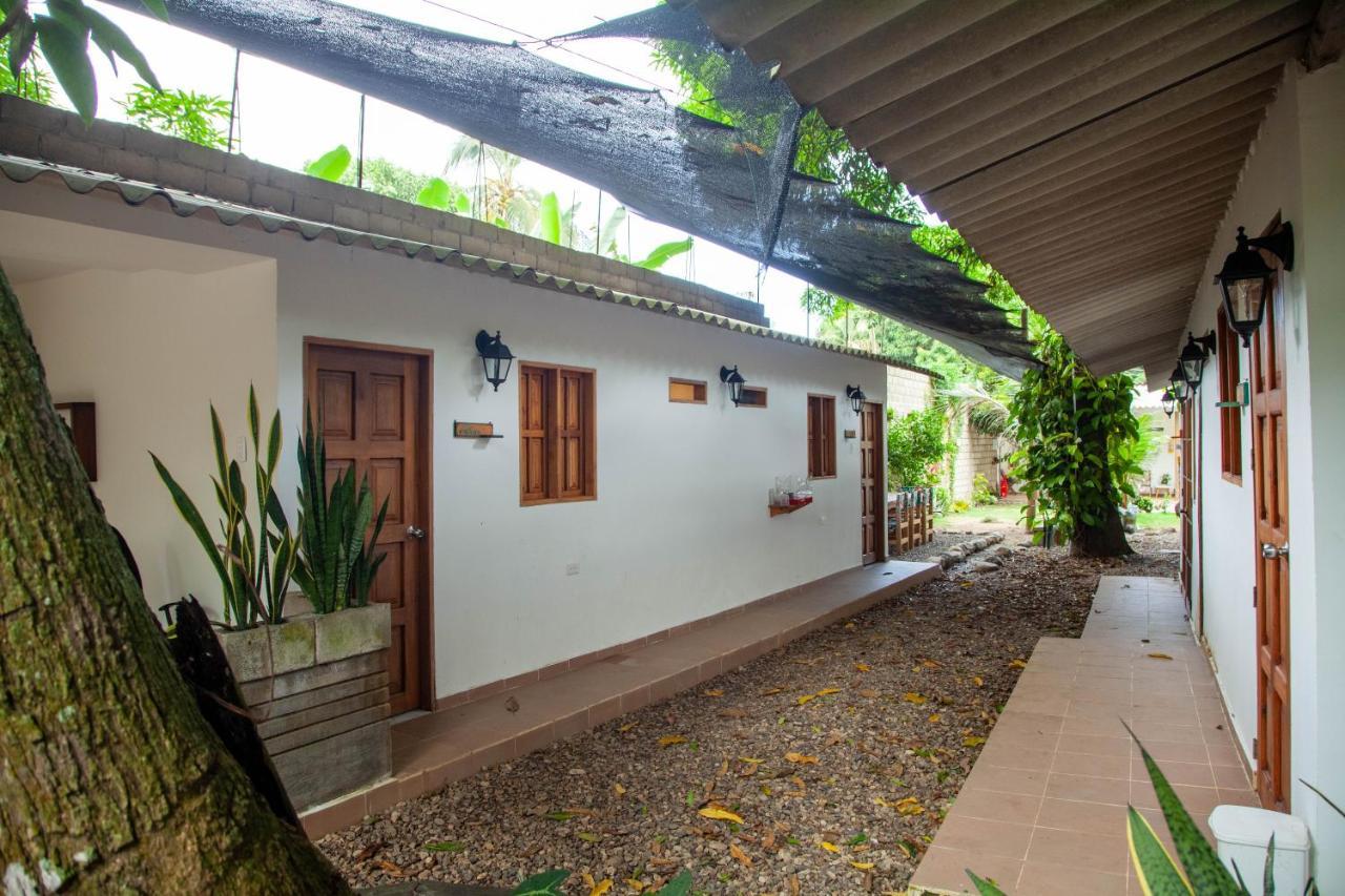 Hostal Hermoso Palomino Buitenkant foto