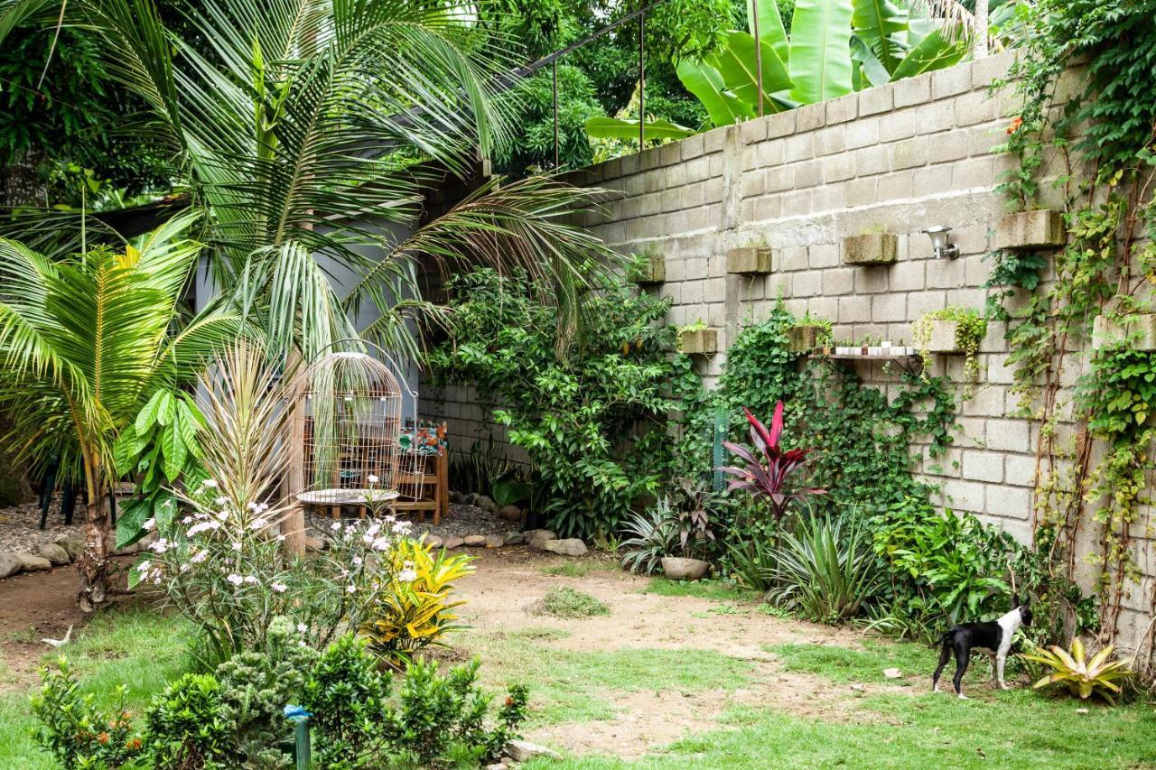 Hostal Hermoso Palomino Buitenkant foto